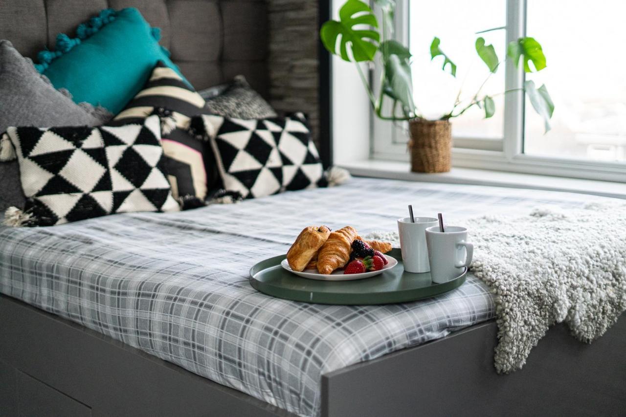 Bed and Breakfast The Shore New Quay Exteriér fotografie